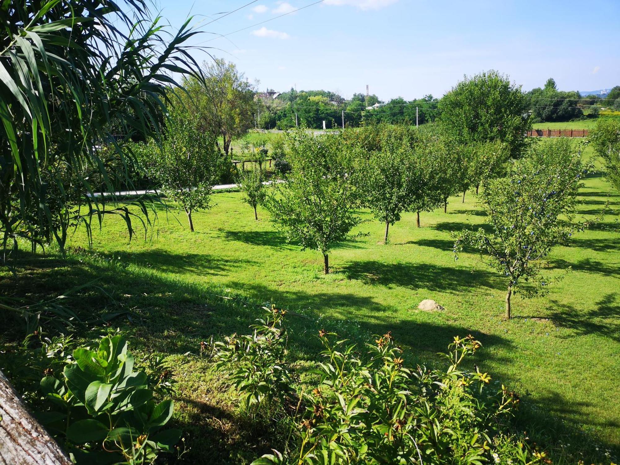 Pilisi Lovas Major, Dorog Bed & Breakfast ภายนอก รูปภาพ