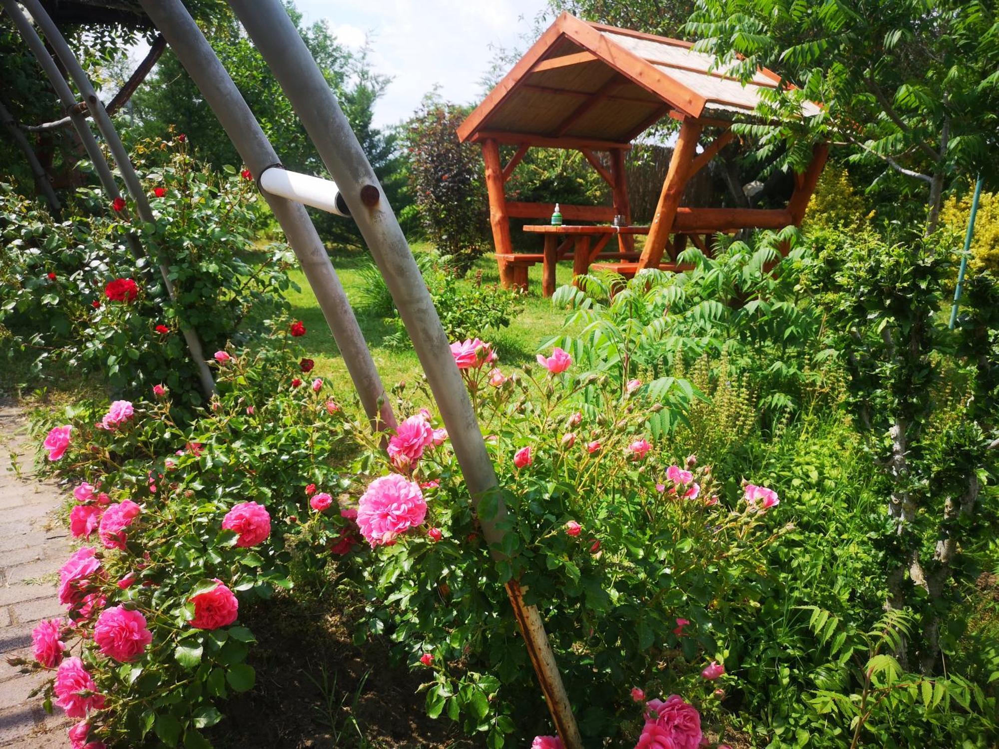 Pilisi Lovas Major, Dorog Bed & Breakfast ภายนอก รูปภาพ